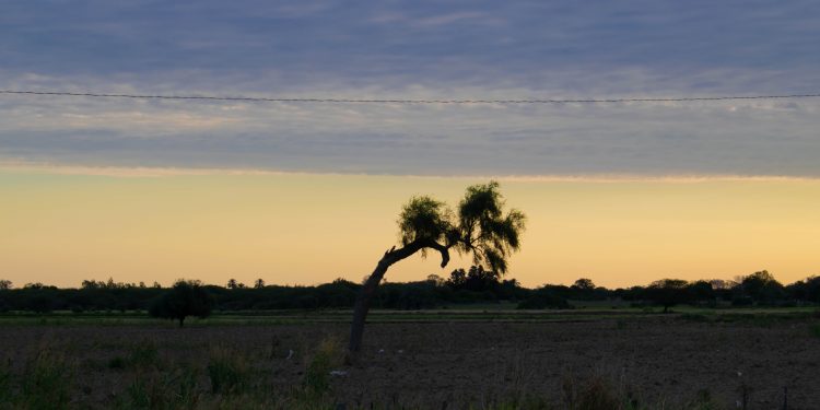 Meteorología anuncia día soleado con vientos del noreste Meteorología anuncia día soleado con vientos del noreste
