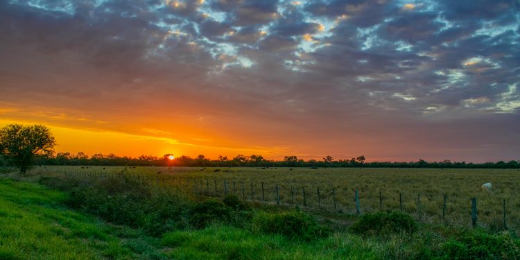 Inicio de semana laboral con buen tiempo en todo el país