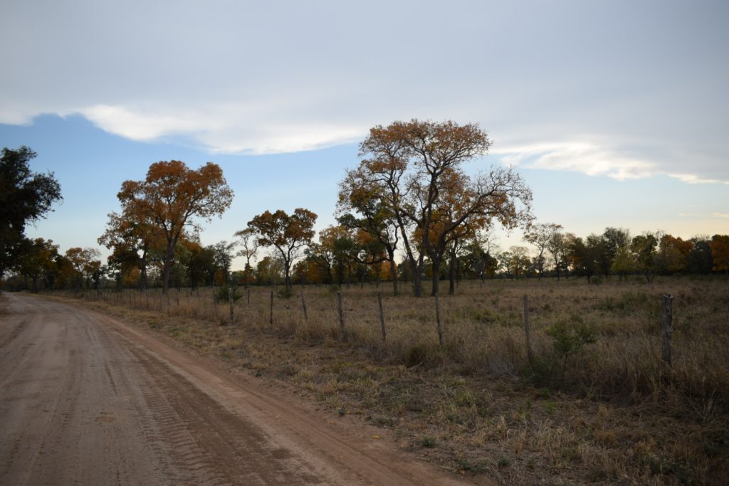 Miércoles con clima fresco a cálido y precipitaciones Miércoles con clima fresco a cálido y precipitaciones