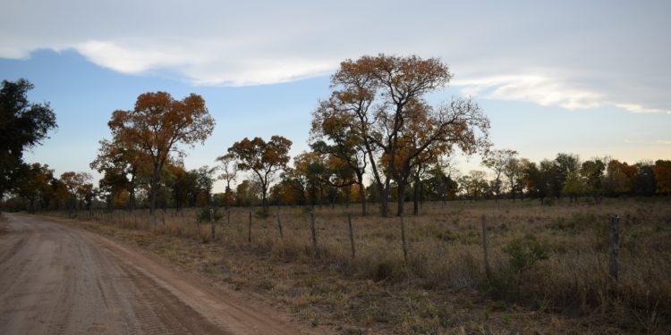 Miércoles con clima fresco a cálido y precipitaciones