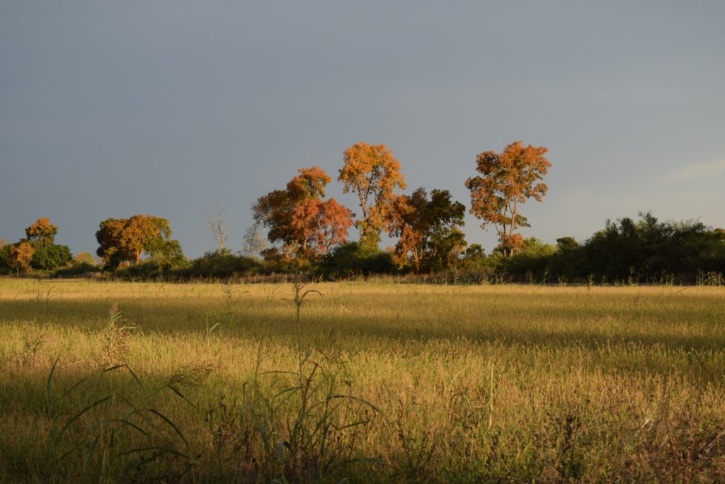 Viernes con aumento de temperaturas en todo el país Viernes con aumento de temperaturas en todo el país