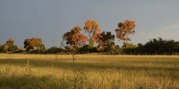 Viernes con aumento de temperaturas en todo el país