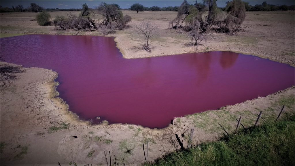 Recomiendan evitar todo tipo de contacto directo con el “tajamar rojo” de Loma Plata Recomiendan evitar todo tipo de contacto directo con el “tajamar rojo” de Loma Plata