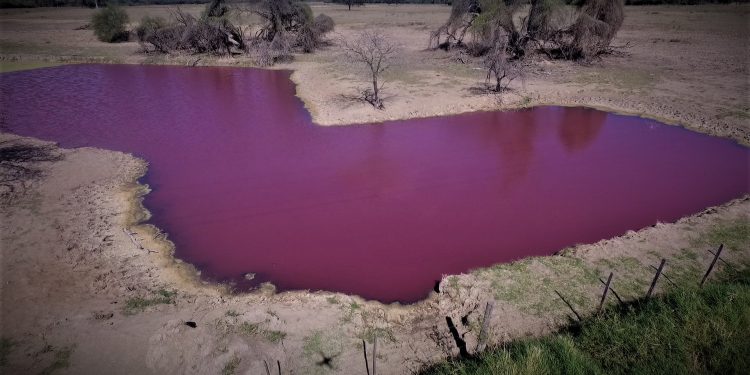 Recomiendan evitar todo tipo de contacto directo con el “tajamar rojo” de Loma Plata Recomiendan evitar todo tipo de contacto directo con el “tajamar rojo” de Loma Plata