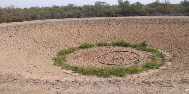 SEN coordina acciones para asistir zonas afectadas por sequía en el Chaco