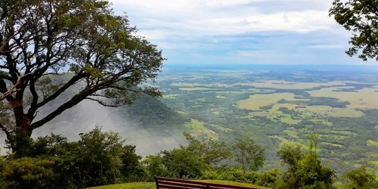 Decretan reducción del IVA para sector de eventos, turismo y gastronómico