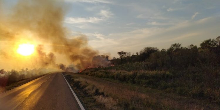 Historia repetida: pastizales quemados ponen en apuros fibra óptica de la Transchaco