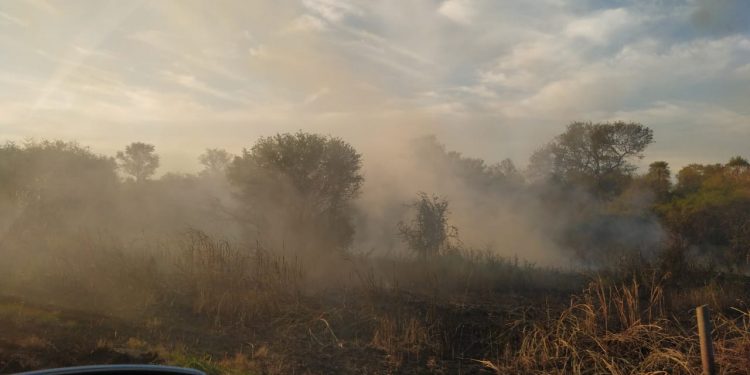 Ruta Transchaco: Autoridades no intervienen en quemazones de pastizales