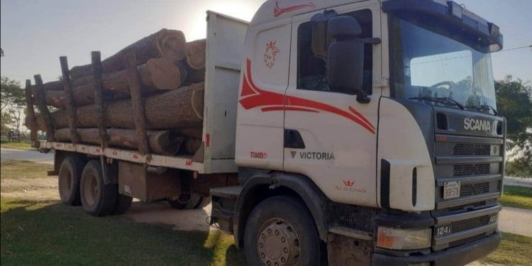 Policías demoran a conductor de camión que contenía rollos de palo santo