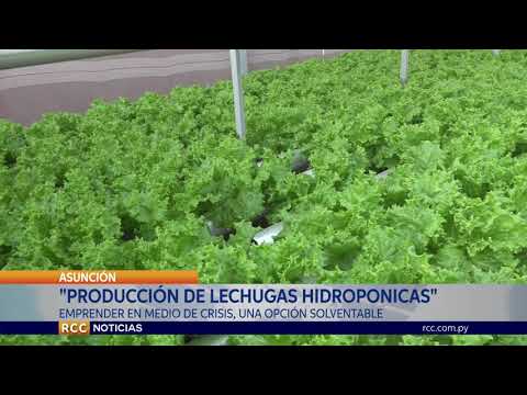 EMPRENDER HOY, ES UNA NECESIDAD MÁS QUE UNA MODA