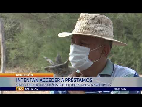 PEQUEÑOS PRODUCTORES DEL CHACO BUSCAN ACCEDER A CRÉDITOS ANTE AQUEJANTE SEQUÍA