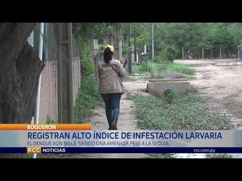 DENGUE: HAY ALTO ÍNDICE DE INFESTACIÓN LARVARIA EN LOS TRES DISTRITOS DE BOQUERÓN  EN PLENA SEQUÍA