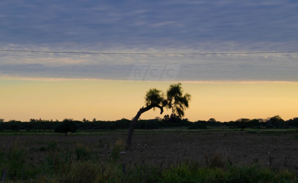 Se espera un día cálido con vientos del norte Se espera un día cálido con vientos del norte