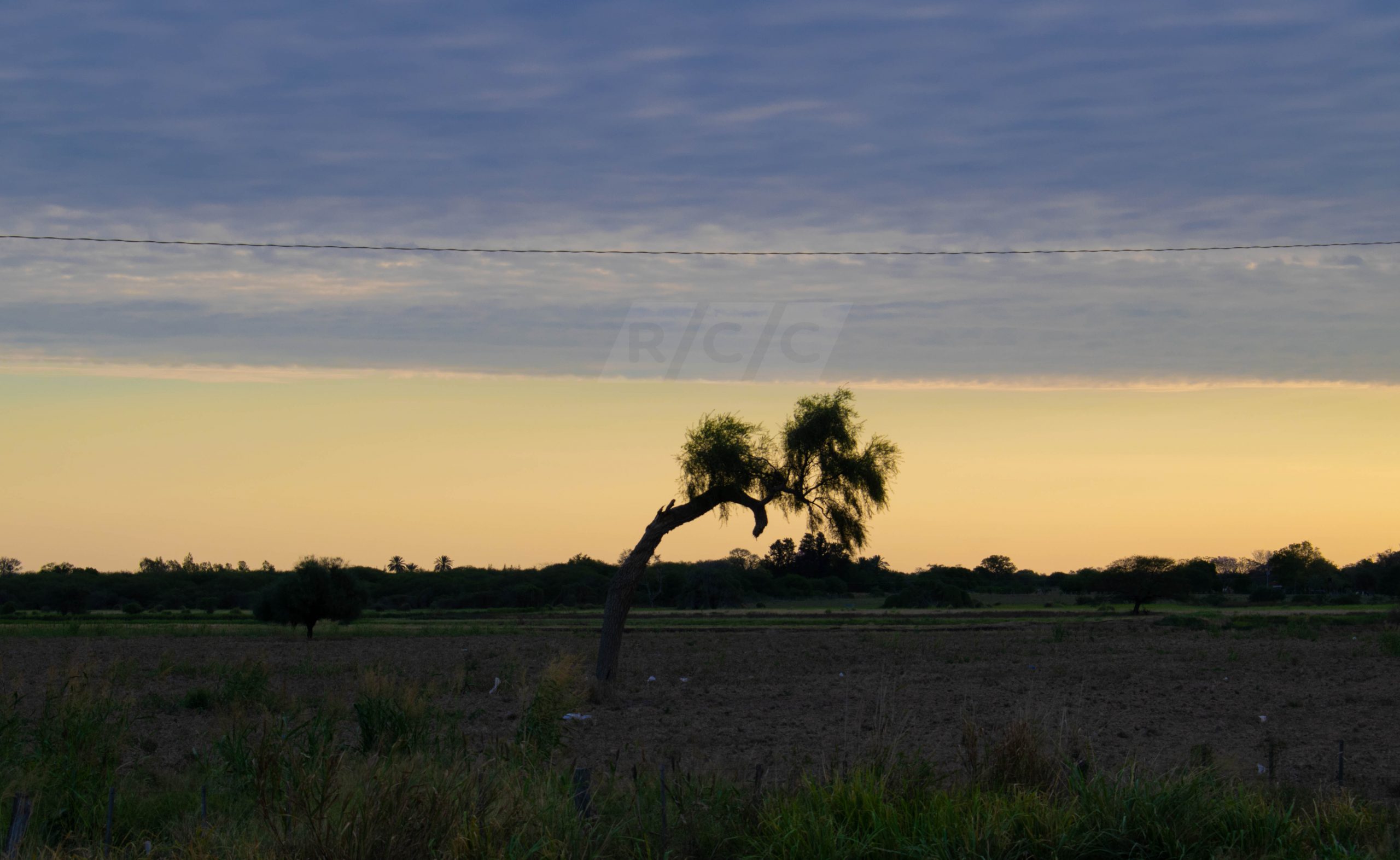 Se espera un día cálido con vientos del norte