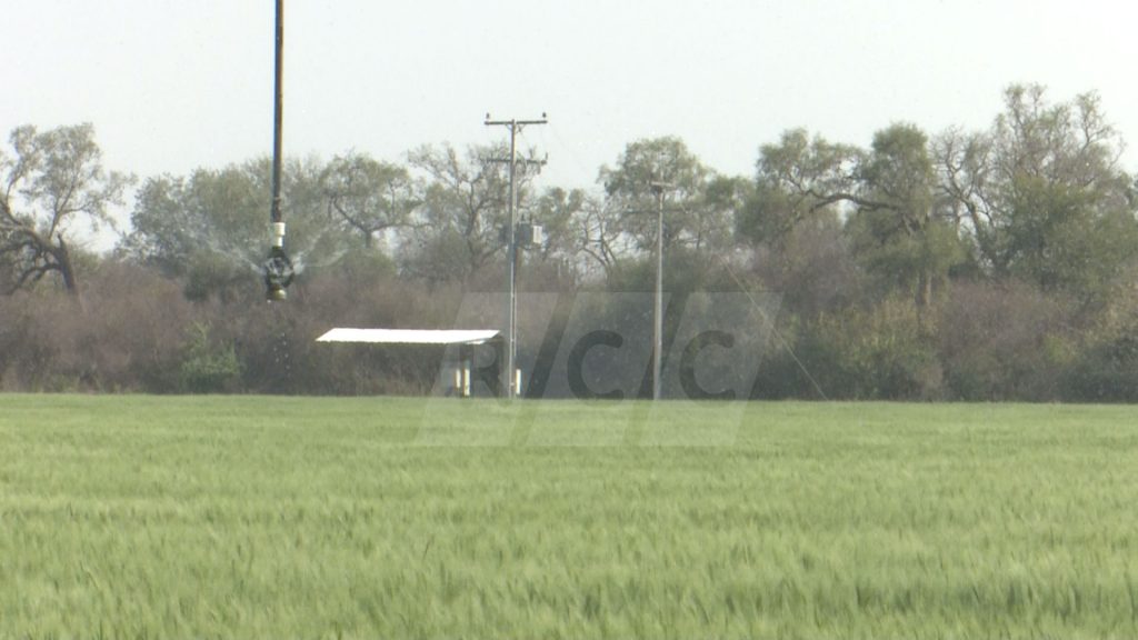 Falencia de la ANDE, genera millones en pérdidas a productores Falencia de la ANDE, genera millones en pérdidas a productores