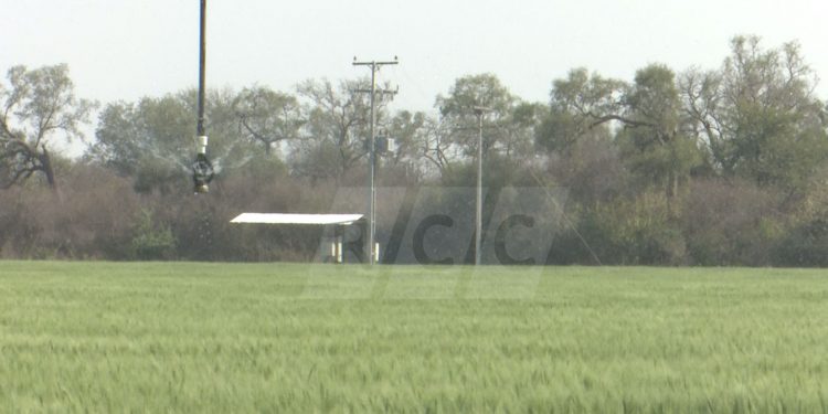 Falencia de la ANDE, genera millones en pérdidas a productores Falencia de la ANDE, genera millones en pérdidas a productores