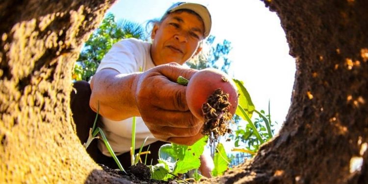 Otorgan 5.408 créditos a mujeres emprendedoras