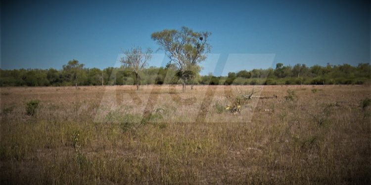 Filadelfia: Podría ser el año más seco desde 1932 Filadelfia: Podría ser el año más seco desde 1932