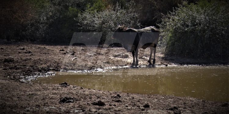 Se anuncia una nueva jornada con mucho calor para hoy