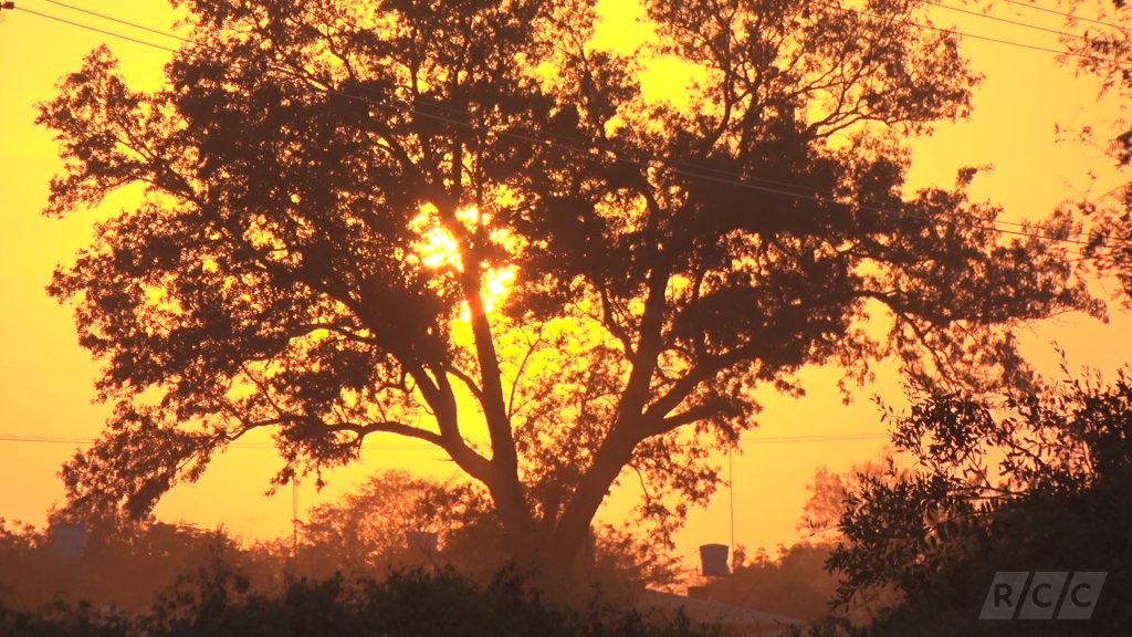 Continúa el día cálido con vientos moderados del noreste