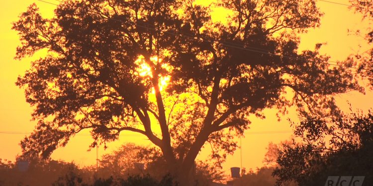 Continúa el día cálido con vientos moderados del noreste