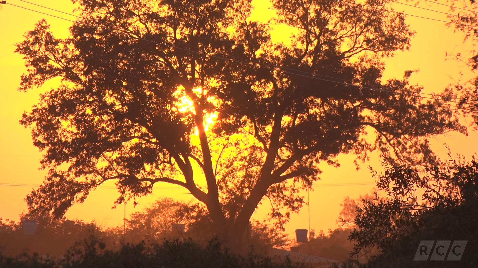 Continúa el día cálido con vientos moderados del noreste