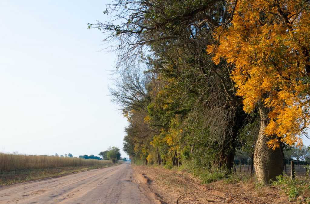 Para hoy viernes se espera una jornada cálida