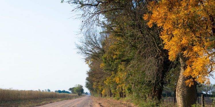 Para hoy viernes se espera una jornada cálida