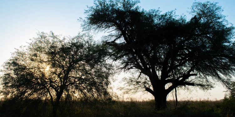 Inicio de semana laboral con clima fresco a cálido y vientos del sur Inicio de semana laboral con clima fresco a cálido y vientos del sur