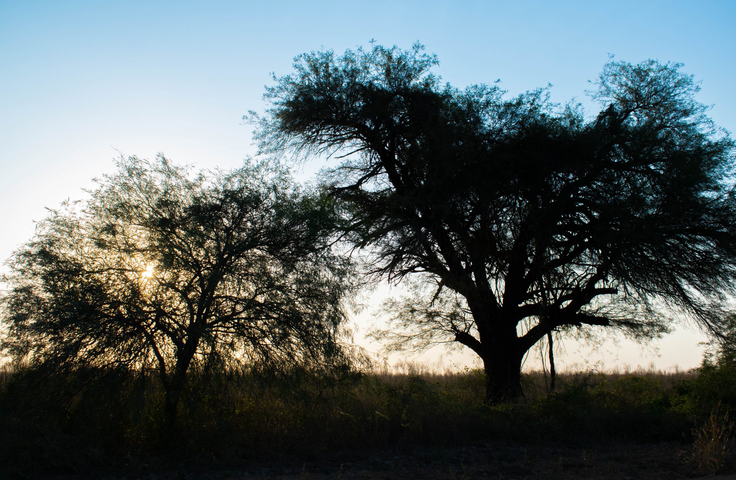 Inicio de semana laboral con clima fresco a cálido y vientos del sur