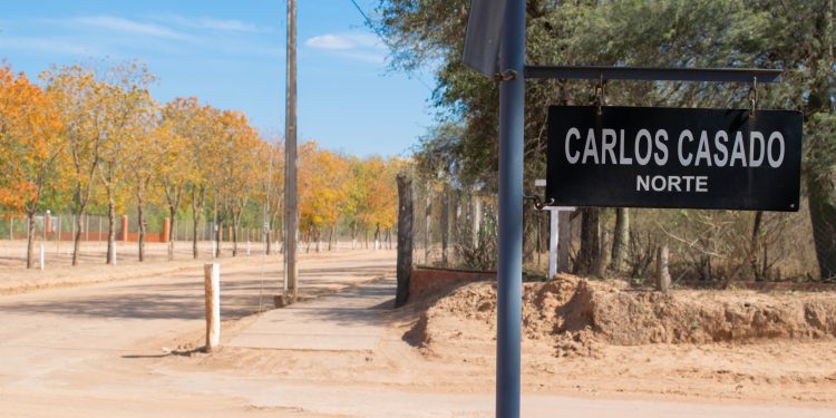 Inicio de semana laboral con clima fresco a cálido y vientos del sureste Inicio de semana laboral con clima fresco a cálido y vientos del sureste
