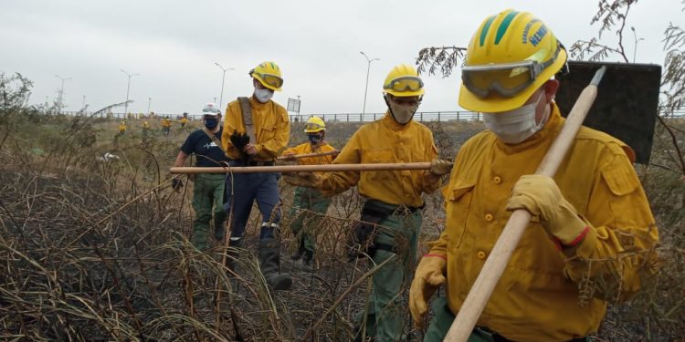 Brigada Forestal de la SEN apoya tareas de extinción de incendios Brigada Forestal de la SEN apoya tareas de extinción de incendios