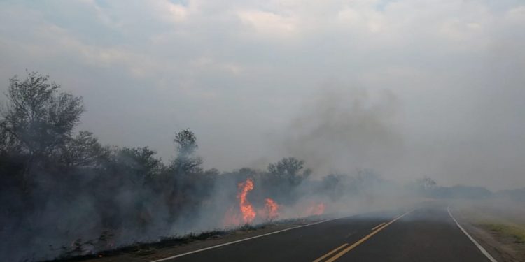 Incendios al costado de la Ruta Transchaco no cesan Incendios al costado de la Ruta Transchaco no cesan