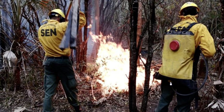 Brigada Forestal de la SEN controla incendio en el bajo Chaco