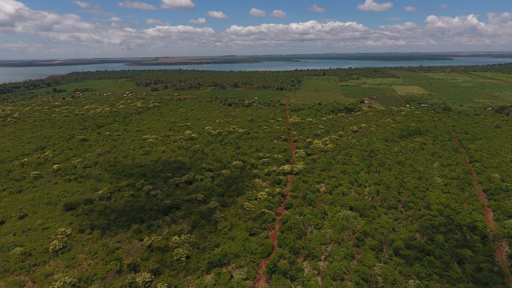 Legislación permite proteger bosques que en un 80% están en propiedades privadas