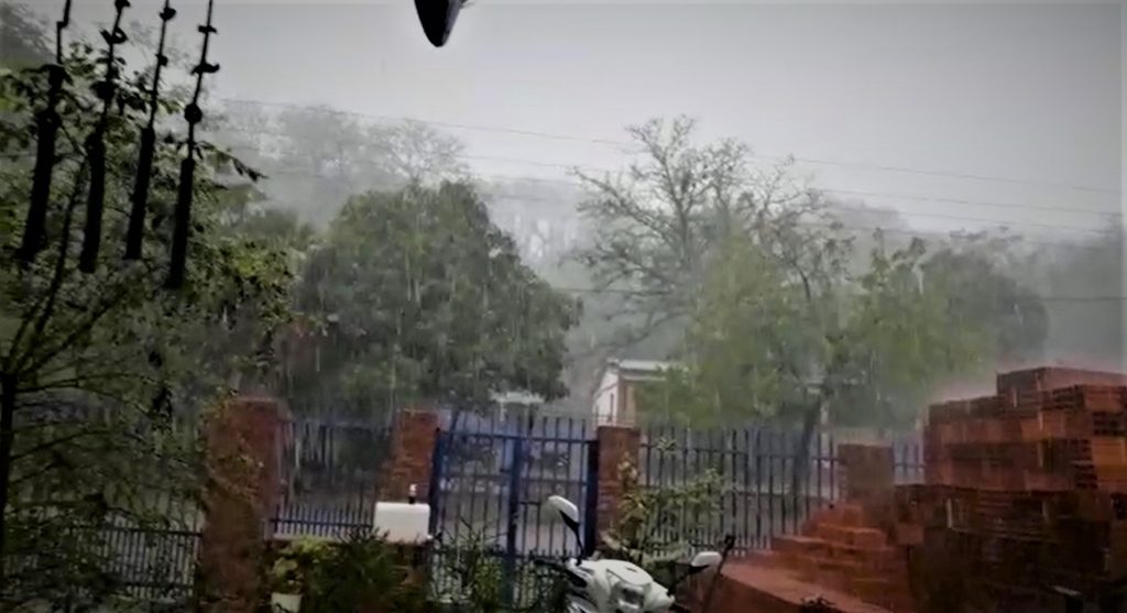 Buena cantidad de lluvia aplaca presión de la sequía en Alto Paraguay
