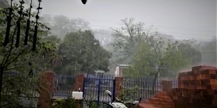 Buena cantidad de lluvia aplaca presión de la sequía en Alto Paraguay