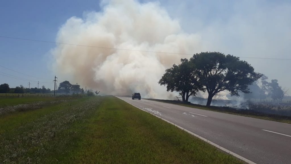 Chaco con mayores focos de calor, hay sanciones vigentes