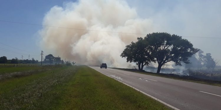 Chaco con mayores focos de calor, hay sanciones vigentes Chaco con mayores focos de calor, hay sanciones vigentes