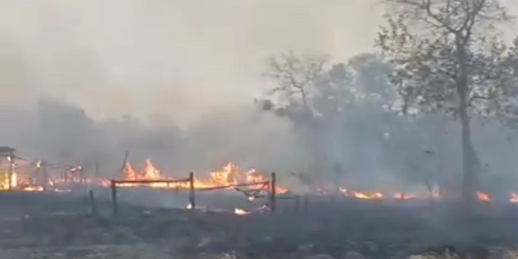 Exposición al humo puede empeorar síntomas de pacientes con COVID-19 Exposición al humo puede empeorar síntomas de pacientes con COVID-19