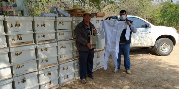MAG acompaña de cerca a comunidades de Boquerón con proyectos productivos