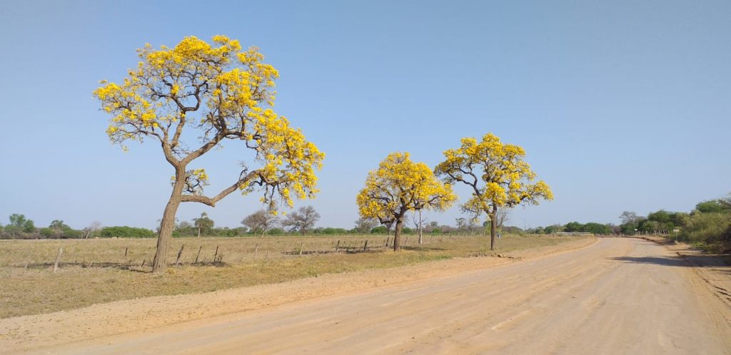 Miércoles fresco al amanecer y caluroso por la tarde Miércoles fresco al amanecer y caluroso por la tarde