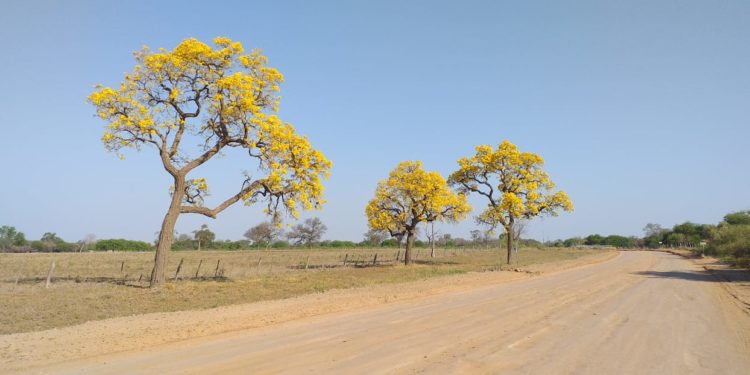 Miércoles fresco al amanecer y caluroso por la tarde