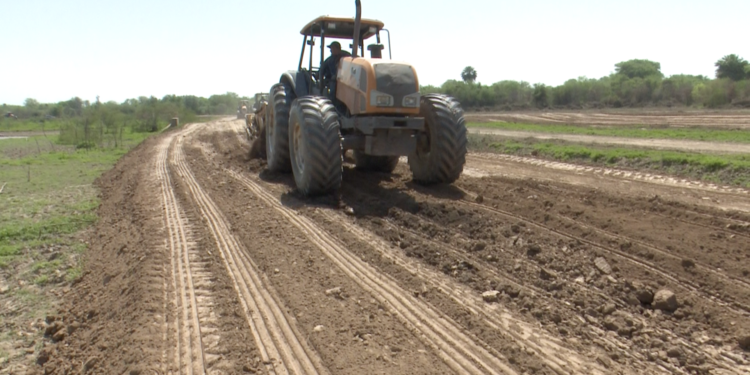 Pilcomayo: Productores esperan que trabajos de limpieza continúen