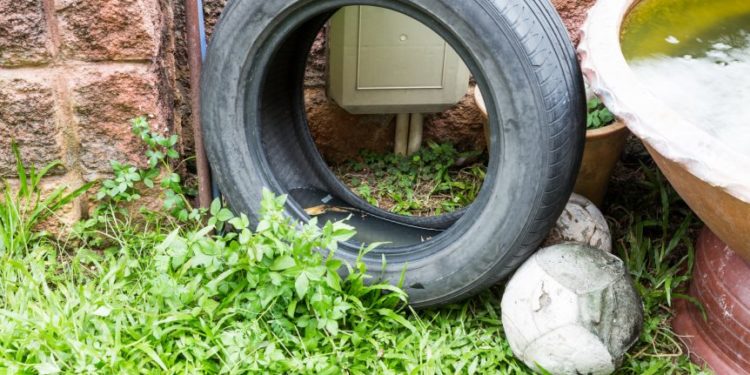 El dengue no ha dejado de cobrar vidas, también en el Chaco