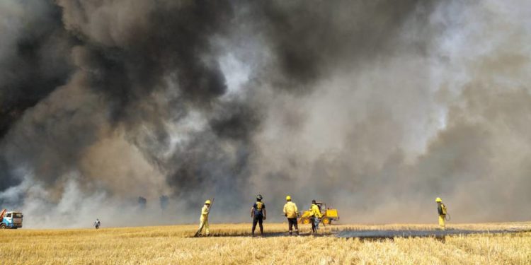 Incendios forestales y contaminación del aire provocan daños a la salud