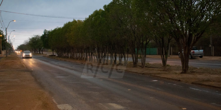 Pronostican jornada cálida y vientos del sur para este martes