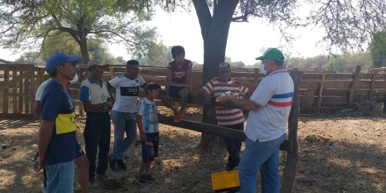 Capacitan a nativos para potenciar desarrollo ganadero