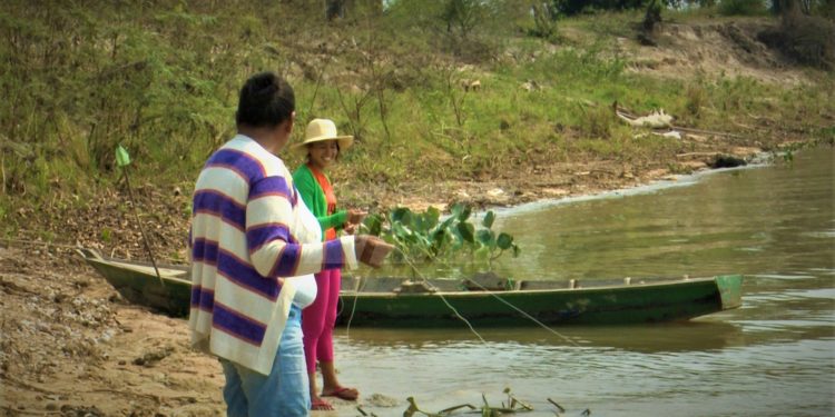 La pesca como sustento diario de familias indígenas del Chaco durante la pandemia