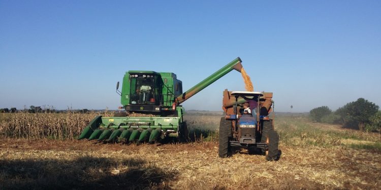 Gremios de la producción condenan “actos de terrorismo” y piden trabajar juntos por el país